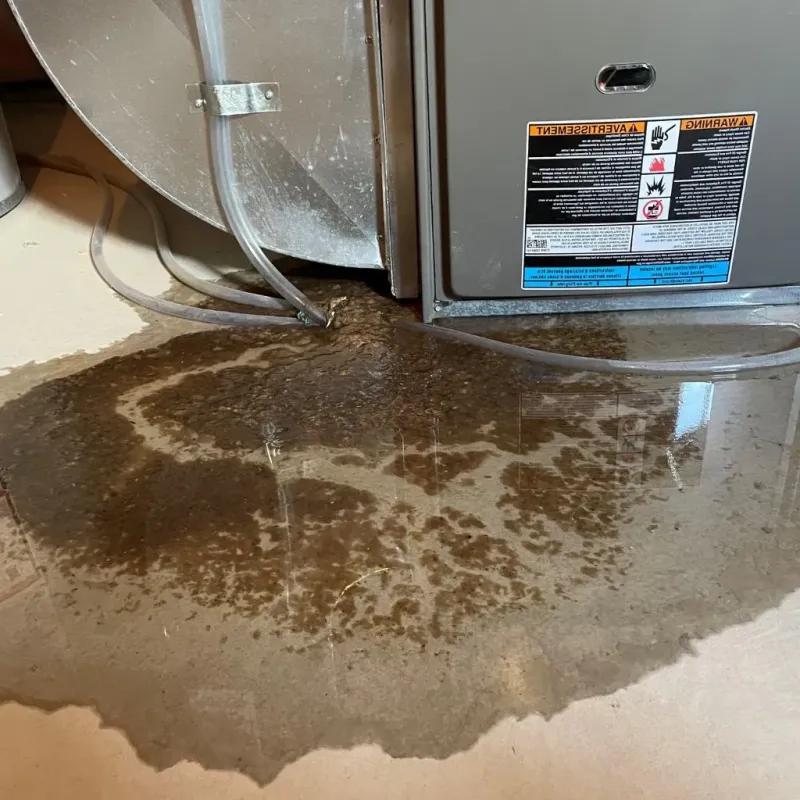 Pipe Burst and Leak Restoration in Laguna, NM
