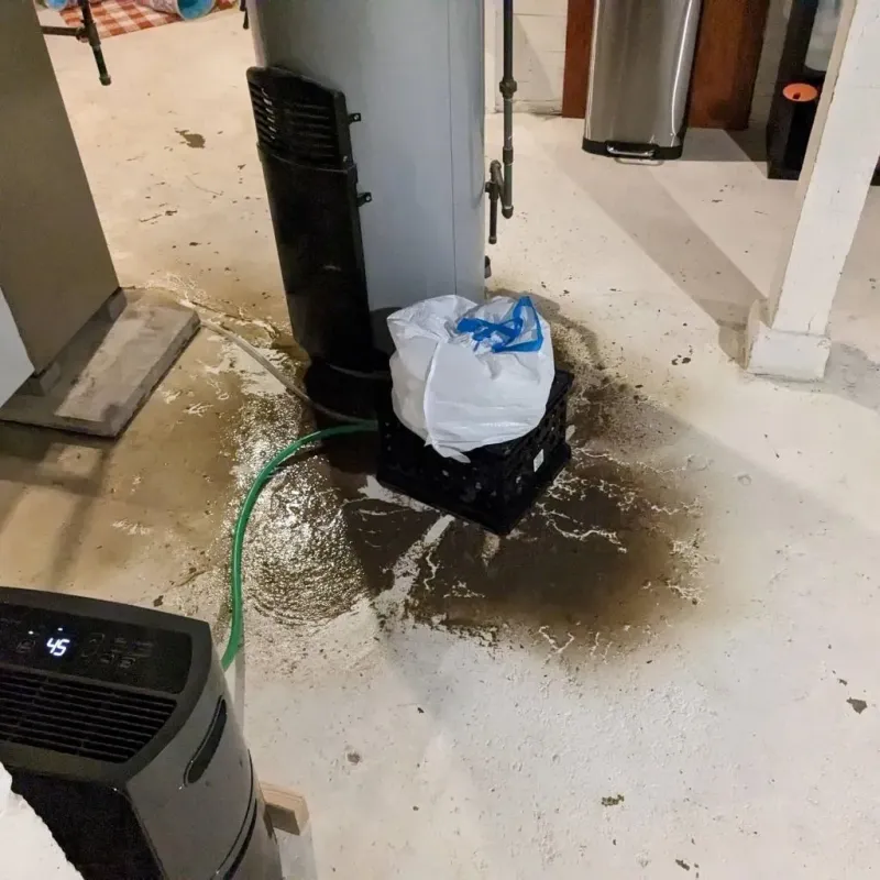 Sewage Backup Cleanup Service in Laguna, NM